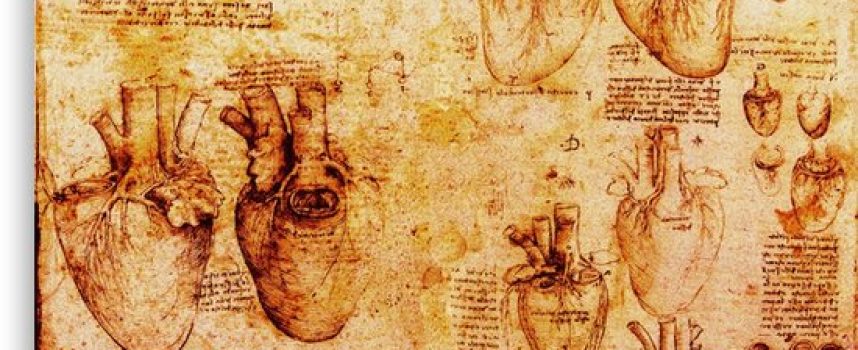 De Vinci : 500 ans d’un génie polyvalent